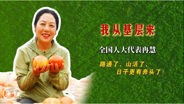 QQ_1772260244185