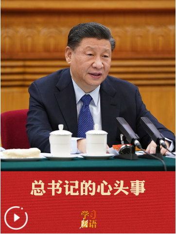 QQ_1772345266056