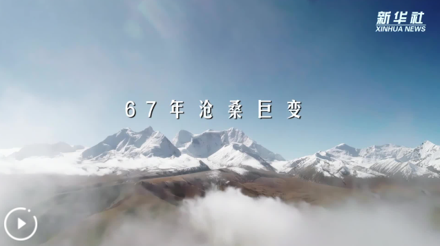 QQ_1774750635459