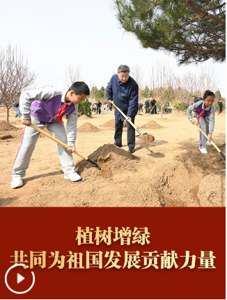 QQ_1774933013292