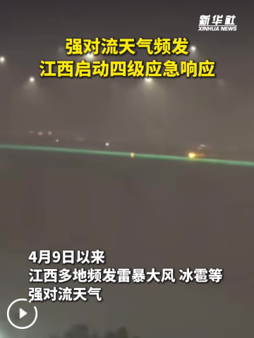QQ_1775901246594