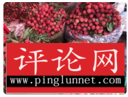 挂绿荔枝热卖有何启示
