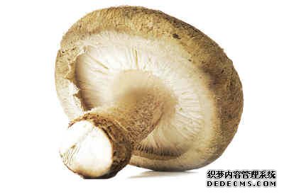 宝宝补脑健体的选食秘籍