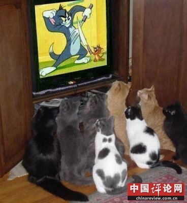 晚间版：养个这样的儿子有何用？