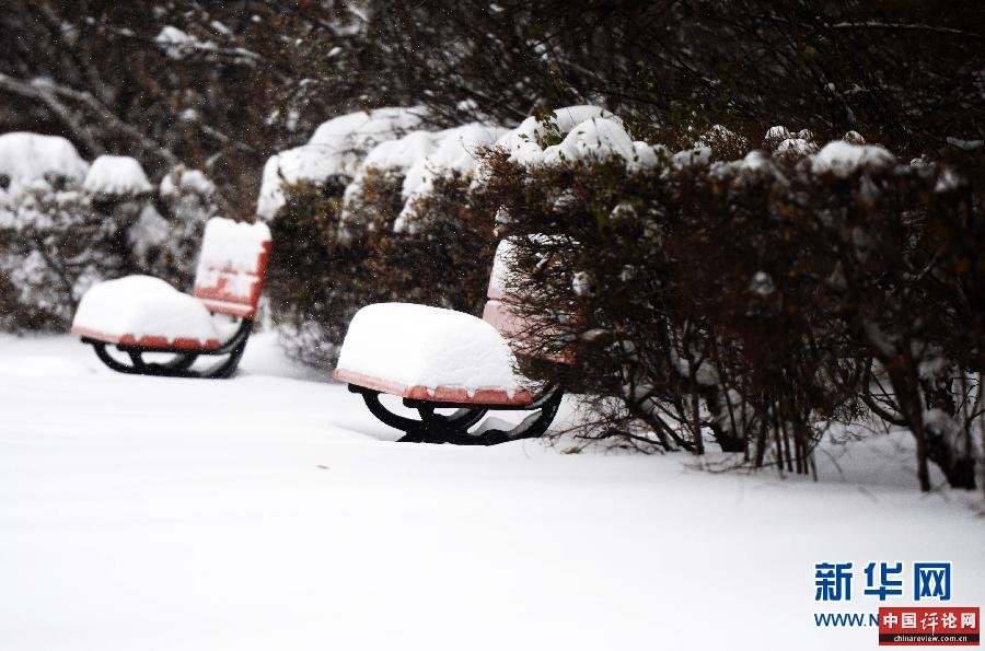 （生态）（3）哈尔滨发布暴雪红色预警 全城动员清冰雪