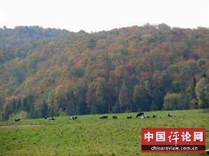 美国农村的悲惨生活（图）
