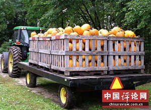 美国农村的悲惨生活（图）
