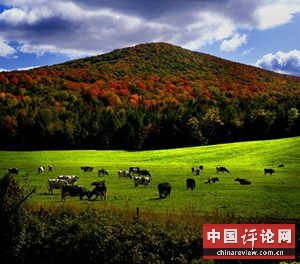 美国农村的悲惨生活（图）
