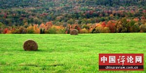 美国农村的悲惨生活（图）
