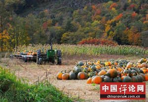 美国农村的悲惨生活（图）
