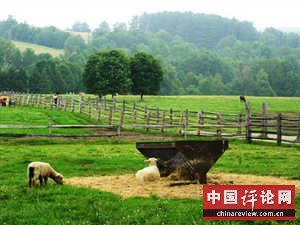 美国农村的悲惨生活（图）

