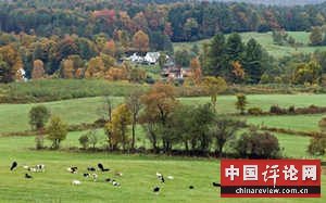 美国农村的悲惨生活（图）
