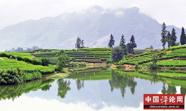松阳风景。图源网络