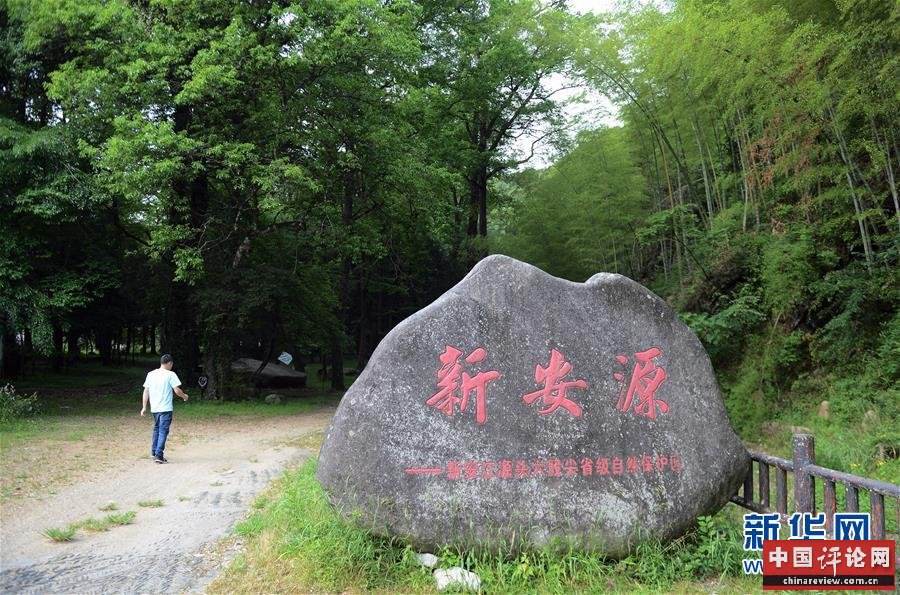 （新华全媒头条·图文互动）（3）问“江”哪得清如许——生态文明建设的“新安江实践”